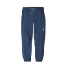 AllTrails × Stio Women's Pinedale Jogger - Mountain Shadow Bottoms Stio   